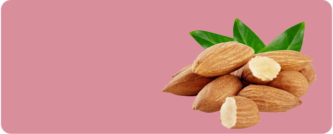 Almonds mewamitra