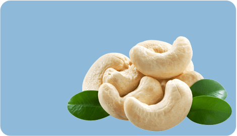 cashew wholesmm