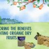 Exploring the Benefits of Eating Organic Dry Fruits