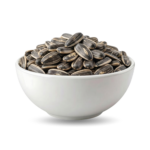 Seeds