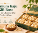 Premium kaju gift box with cashews for festive gifting